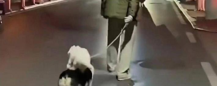 竞猜世界杯 -安徽男子和家里狗玩耍回家，狗一个跨步跳过门槛进院子，男子紧跟着大跳却撞上门框弯下腰，女儿听声赶来关心场面既心疼又好笑