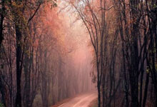 世界杯官网 -Manufacturing World TOKYO Manufacturing WorldNOGOYA Manufacturing WorldOSAKA 2026