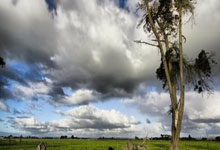 世界杯投注 -咪咕文化申请视频生成方法专利，解(jiě)决了(le)相关技术中(zhōng)的展(zhǎn)示解(jiě)说嘉宾的实时分析的方式的展(zhǎn)示效果较差的问题