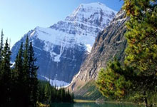 世界杯下注入口 -世界杯再度“失意”！加图索很痛苦 遭网友怒斥：没有蓝黑哨却带蓝黑人！