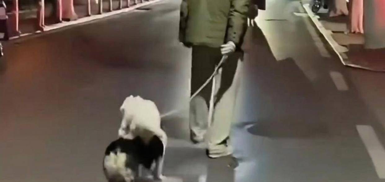 竞猜世界杯 -安徽男子和家里狗玩耍回家，狗一个跨步跳过门槛进院子，男子紧跟着大跳却撞上门框弯下腰，女儿听声赶来关心场面既心疼又好笑